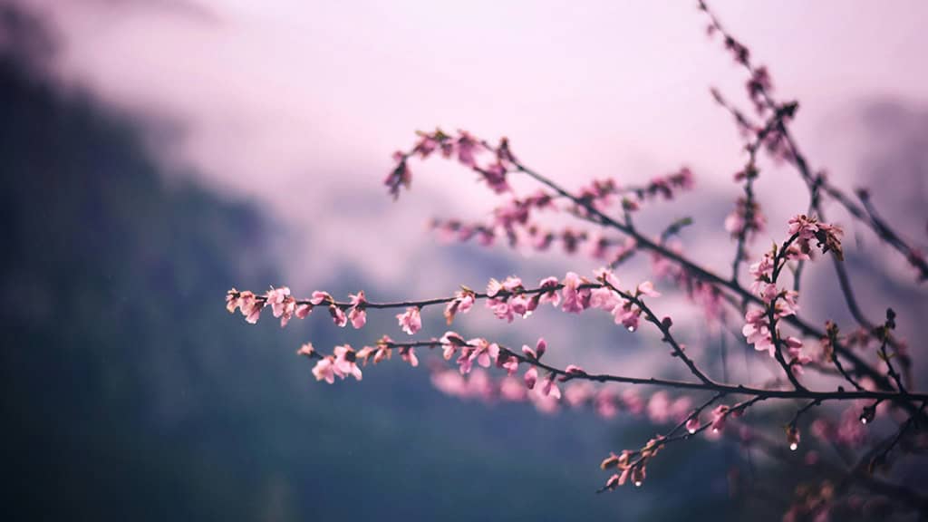 November 2025 Wallpapers – 56 Free Phone &amp; Desktop Calendars + Native American Heritage Month!, Oh So Lovely Blog