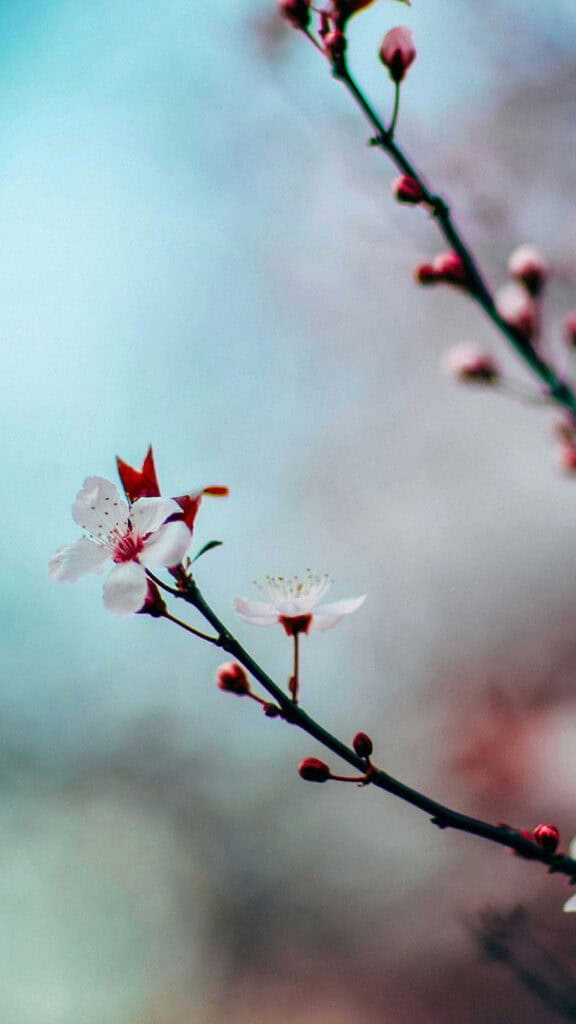 November 2025 Wallpapers – 56 Free Phone &amp; Desktop Calendars + Native American Heritage Month!, Oh So Lovely Blog