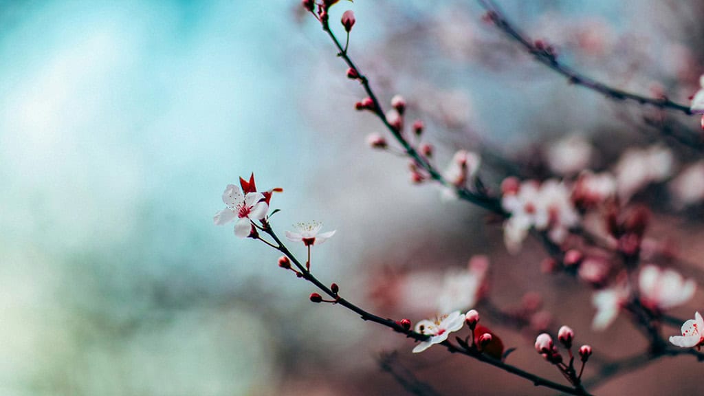 November 2025 Wallpapers – 56 Free Phone &amp; Desktop Calendars + Native American Heritage Month!, Oh So Lovely Blog