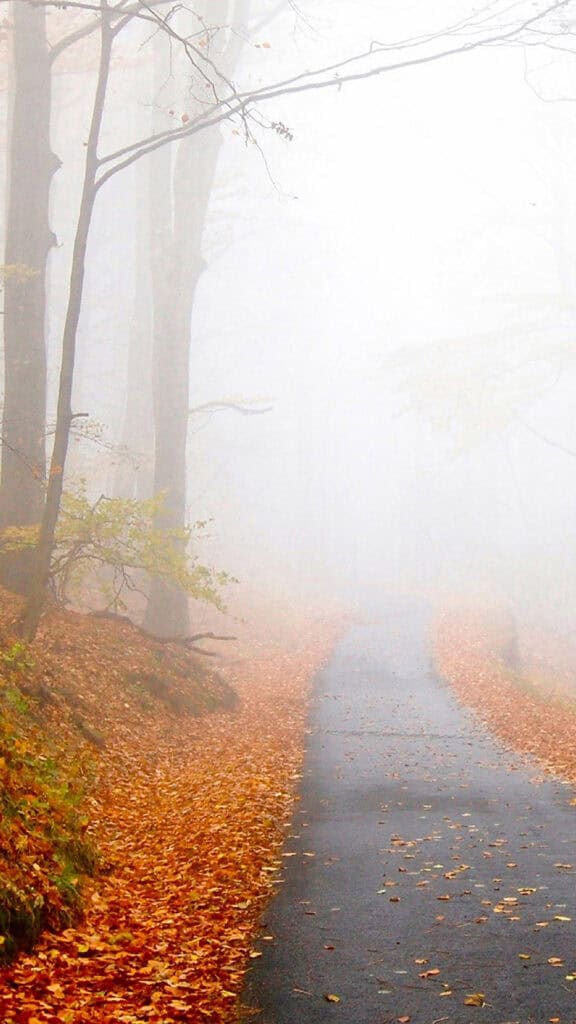 November 2025 Wallpapers – 56 Free Phone &amp; Desktop Calendars + Native American Heritage Month!, Oh So Lovely Blog