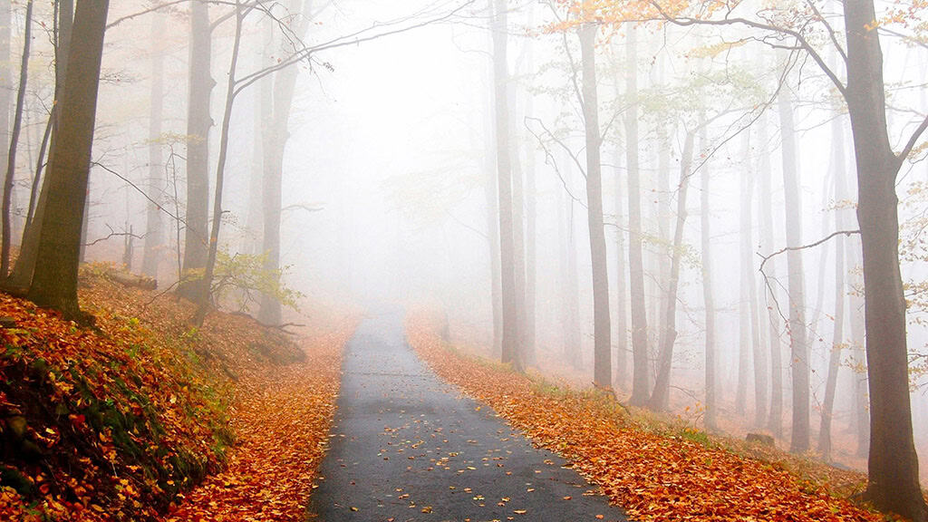 November 2025 Wallpapers – 56 Free Phone &amp; Desktop Calendars + Native American Heritage Month!, Oh So Lovely Blog