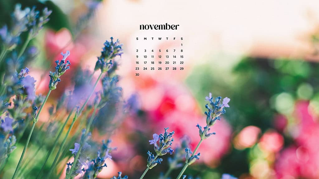 November 2025 Wallpapers – 56 Free Phone &amp; Desktop Calendars + Native American Heritage Month!, Oh So Lovely Blog