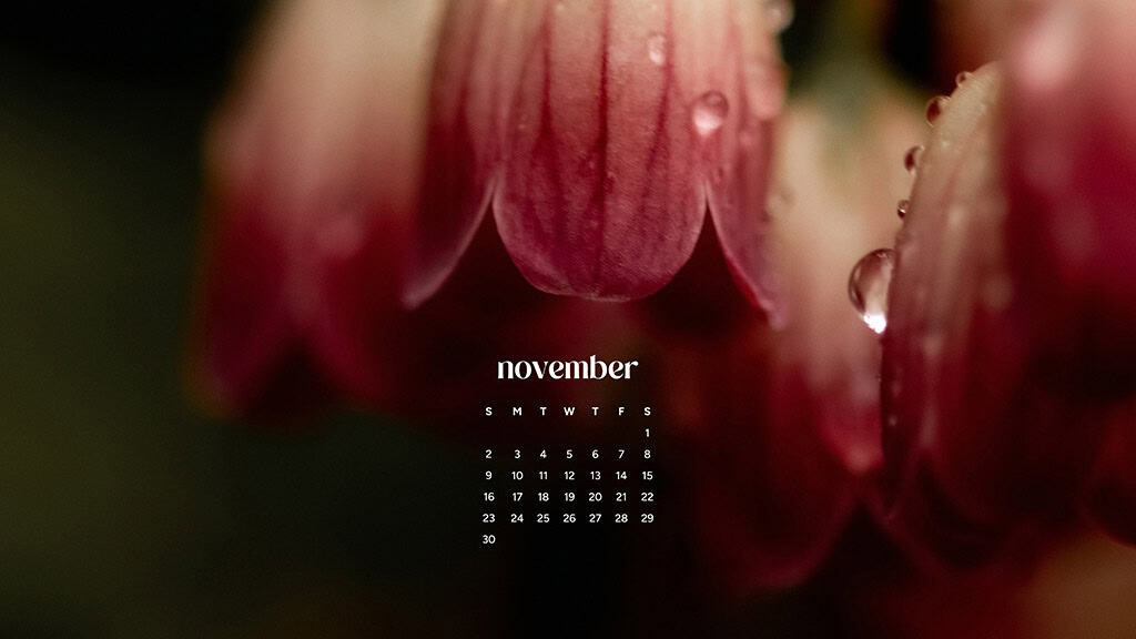 November 2025 Wallpapers – 56 Free Phone &amp; Desktop Calendars + Native American Heritage Month!, Oh So Lovely Blog