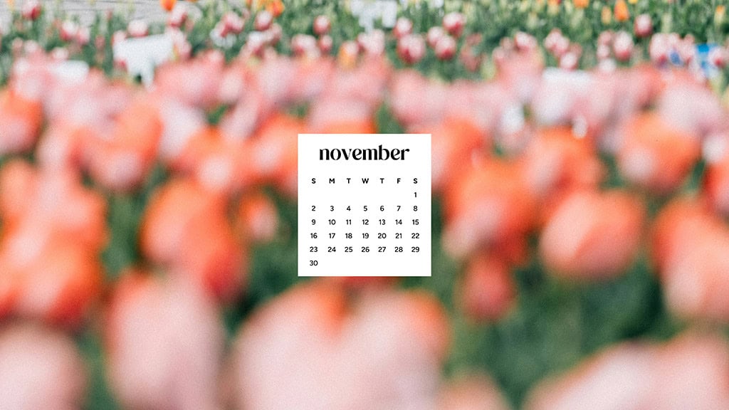 November 2025 Wallpapers – 56 Free Phone &amp; Desktop Calendars + Native American Heritage Month!, Oh So Lovely Blog