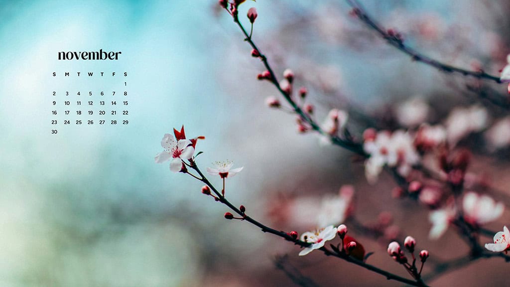 November 2025 Wallpapers – 56 Free Phone &amp; Desktop Calendars + Native American Heritage Month!, Oh So Lovely Blog
